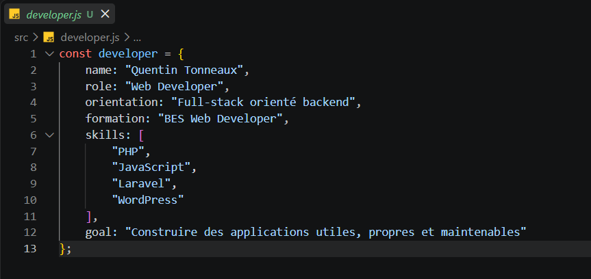 Extrait de code JavaScript présentant mon profil
